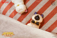 Cat Bell Nap Time