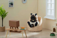 Crotch Staring Cats Series 3