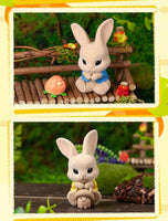 Peter Rabbit Vegetable Fairy Series