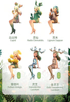 Dorothy Fairy Herbs Spirit Series (Opened box)
