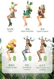 Dorothy Fairy Herbs Spirit Series (Opened box)