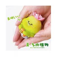 Succulent Plants by Jinart