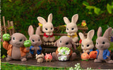 Peter Rabbit Vegetable Fairy Series