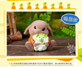 Peter Rabbit Vegetable Fairy Series