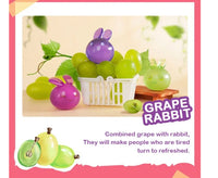 Fruit Fairy Series 1