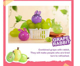 Fruit Fairy Series 1