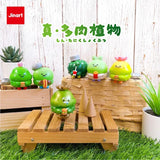 Succulent Plants by Jinart
