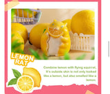 Fruit Fairy Series 1