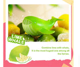 Fruit Fairy Series 1 (Opened box)