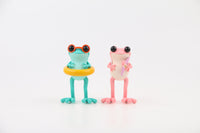 APO Frogs 12 Months series by TwelveDot (Opened boxes)