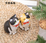 Kong Zoo Sitting Cats