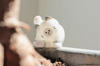 My Home Cat Series 3
