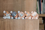 My Home Cat Series 3