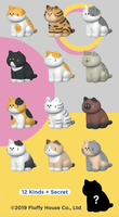 My Home Cat Series 2