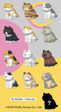 My Home Cat Series 2